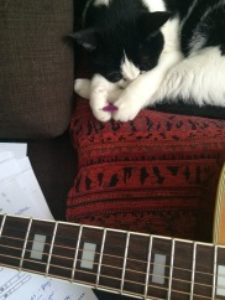 kitty-cat-chat-guitare-musique-geneve